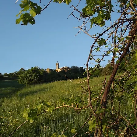 Farma La Ciastra Ed San Michel Terenzo