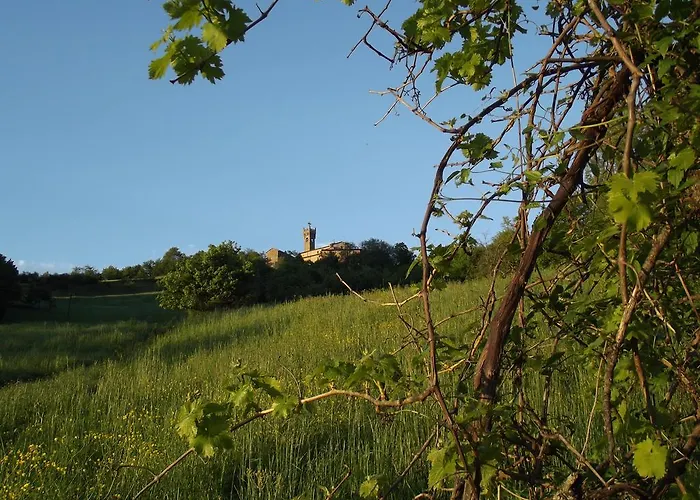 Farma La Ciastra Ed San Michel Terenzo